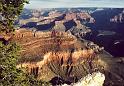 G007 N.P.Grand canyon